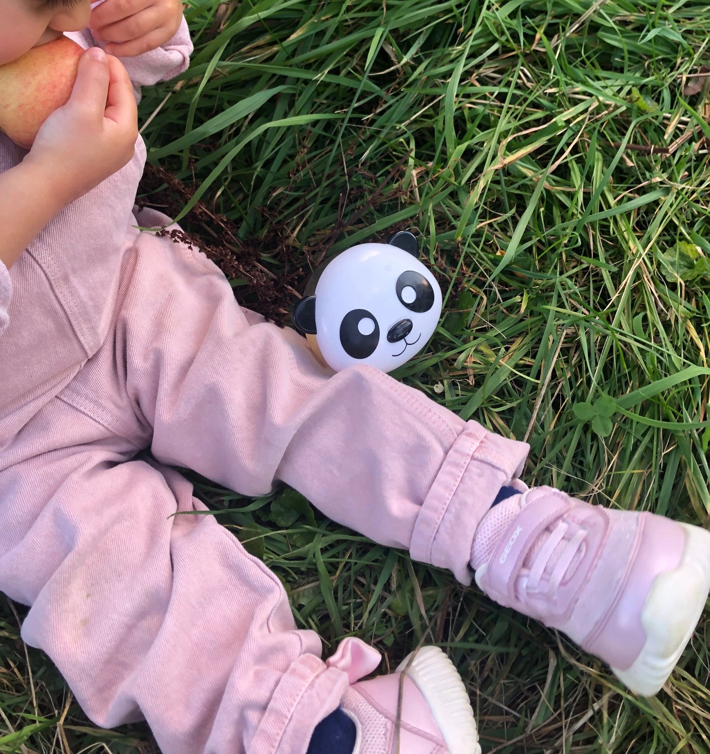 Pack de 2 Contenedores para Snack - Oso y Panda